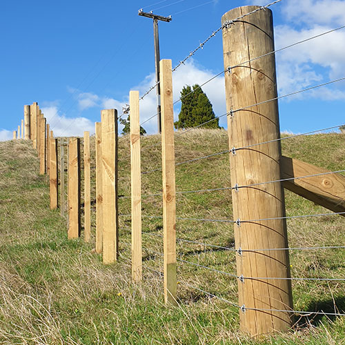 Iowa barbed wire farm fence