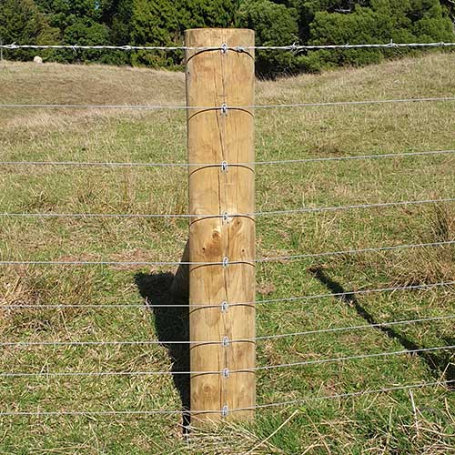 Sliced Cut Fence Staples Barbed in fence post