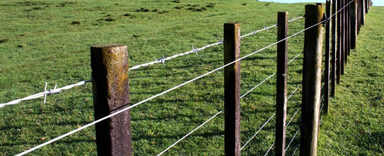 Iowa Security Fencing Barbed Wire