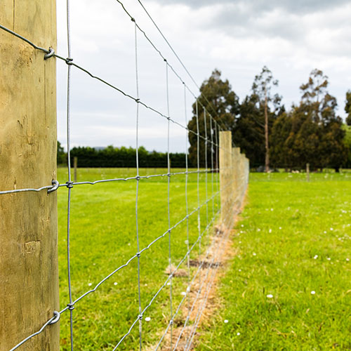 Kiwi Knot mesh fencing being used in a fence