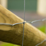 Kiwi Knot mesh fencing in a fence