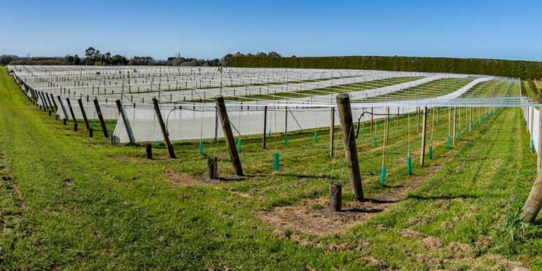 Horticulture Application